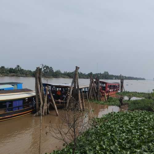 Mekong Delta, Vietnam