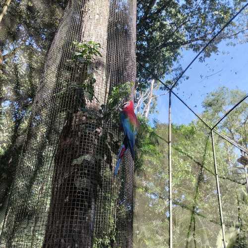 Парк птиц дас Авес, Brazil