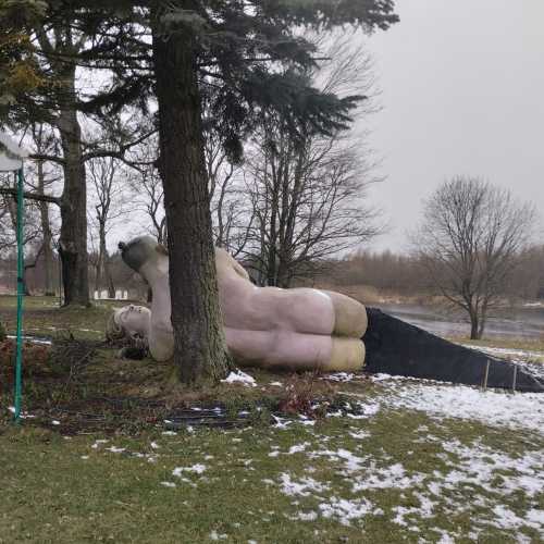 Пакруоис, Литва