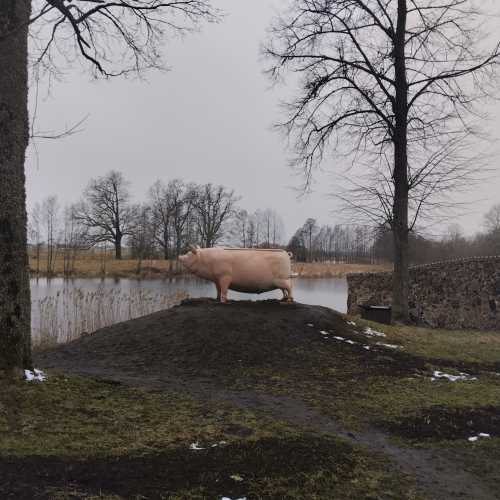 Пакруоис, Литва