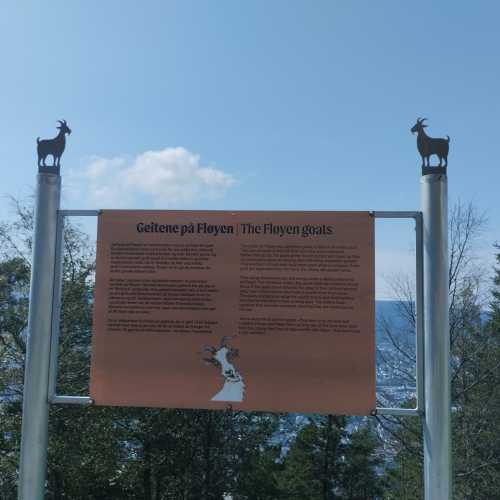 Флёйен, Норвегия