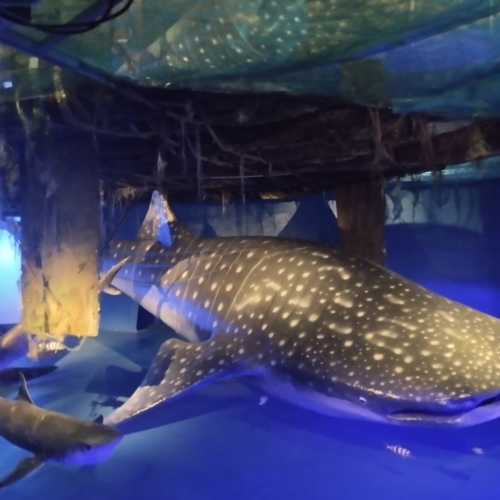 Осло, Норвегия