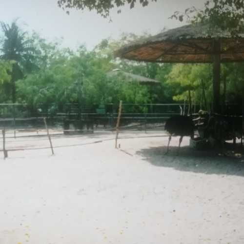 Парк миллионолетних камней и крокодиловая ферма, Таиланд