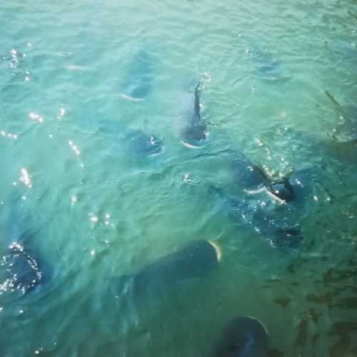 Парк миллионолетних камней и крокодиловая ферма, Таиланд