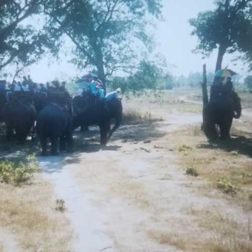 Деревня Слонов, Таиланд