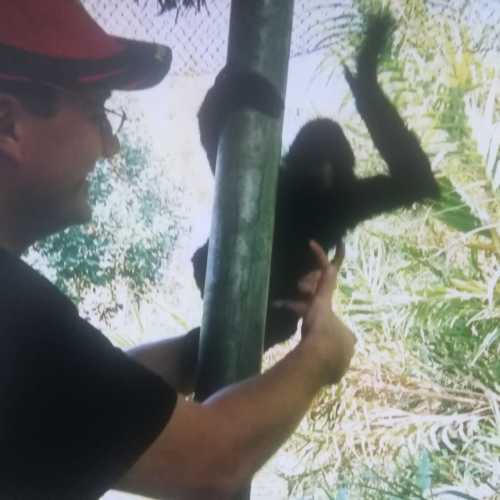 Деревня Слонов, Таиланд