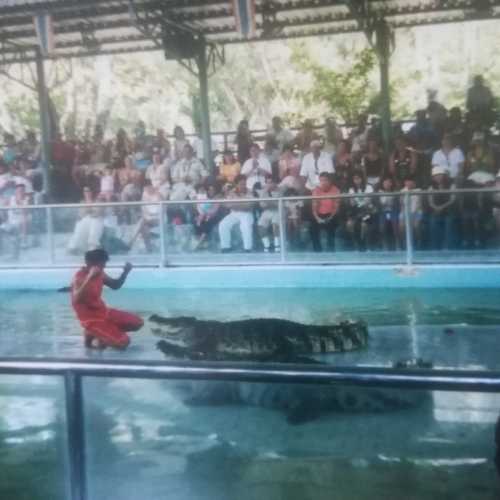 Парк миллионолетних камней и крокодиловая ферма, Таиланд