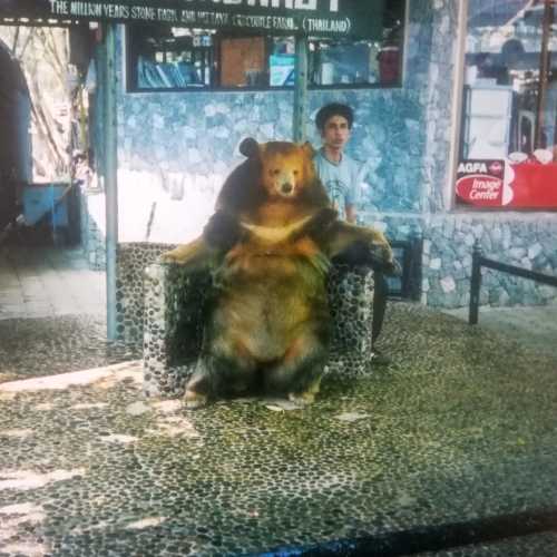 Парк миллионолетних камней и крокодиловая ферма, Таиланд