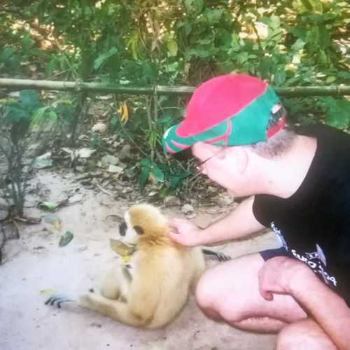 Деревня Слонов, Таиланд