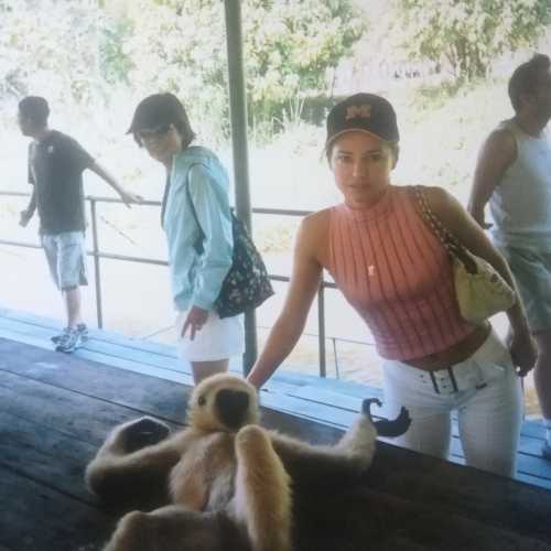 Деревня Слонов, Таиланд