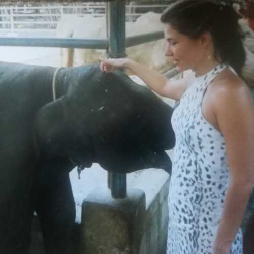 Парк миллионолетних камней и крокодиловая ферма, Таиланд