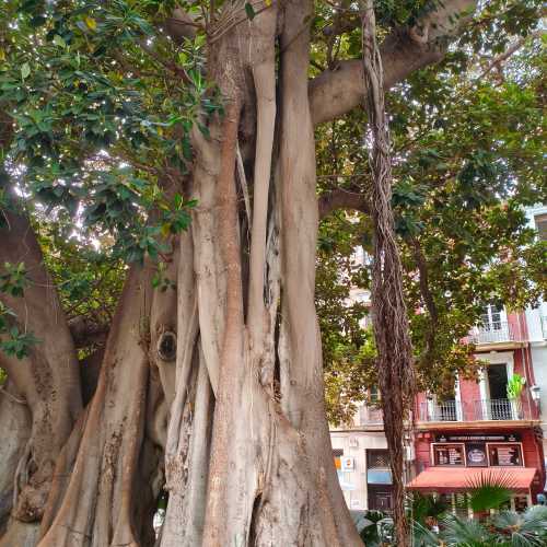 Аликанте, Испания