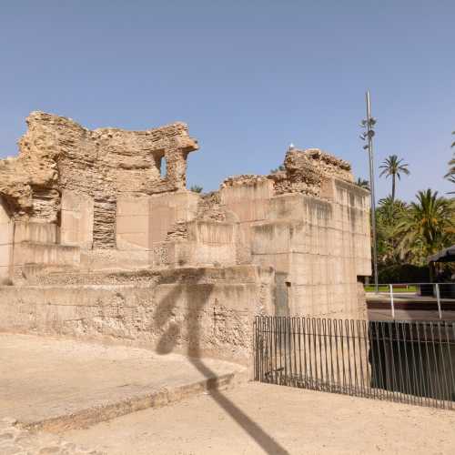 Эльче, Испания