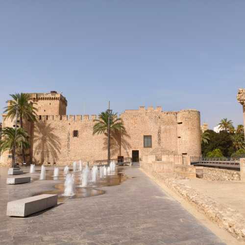 Эльче, Испания