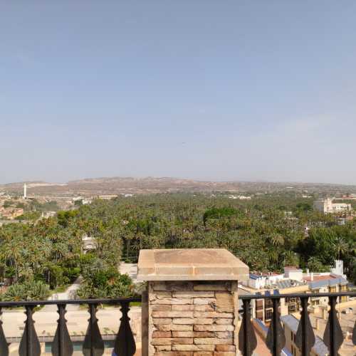 Эльче, Испания