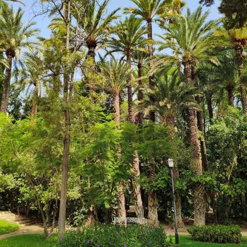 Эльче, Испания