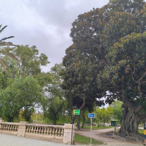 Валенсия, Испания