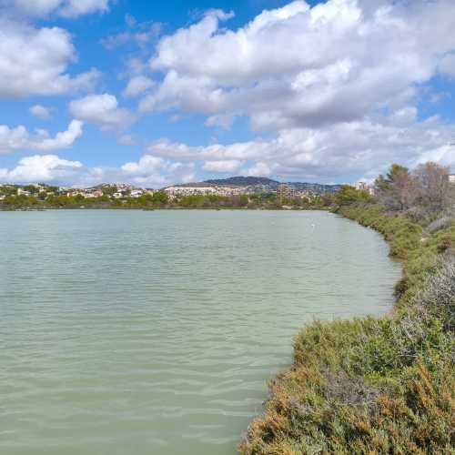 Соленое озеро с фламинго, Испания