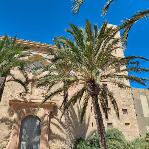 Остров Новая Табарка, Испания