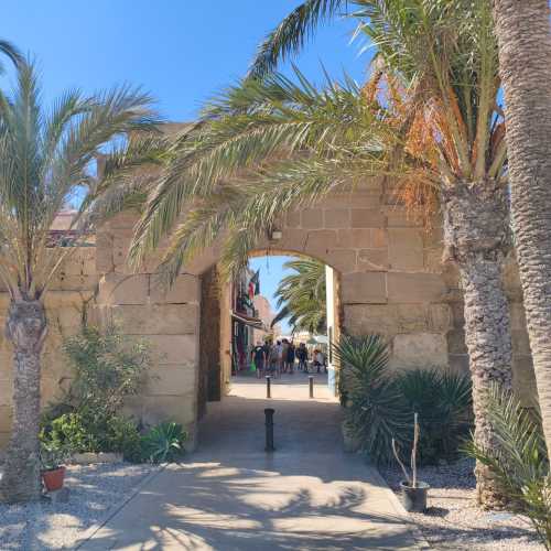 Остров Новая Табарка, Испания