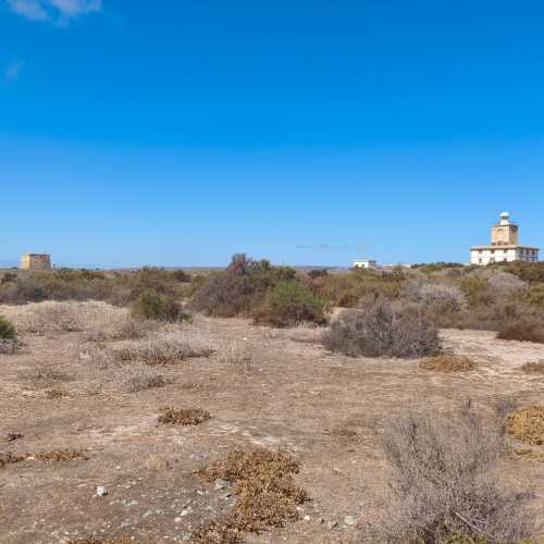 Остров Новая Табарка, Испания