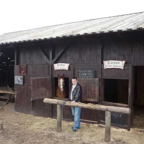 Замок Раквере Линнус, Эстония