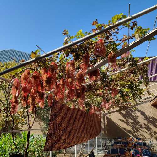 Туристическая деревня  