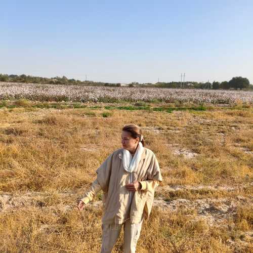 Хлопковое поле в районе Зиадин, Узбекистан