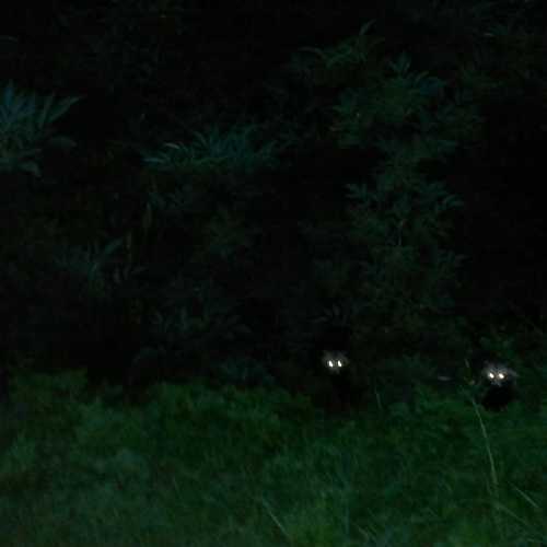 Погроанпереход 