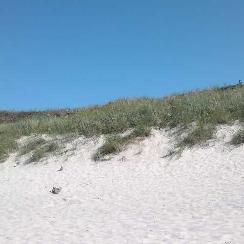 Куршская коса, Россия