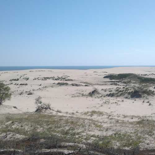 Куршская коса, Россия