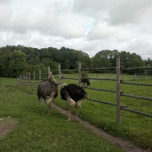 Парк развлечений Раубоню, Литва