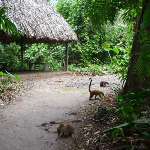 Вильяэрмоса, Мексика