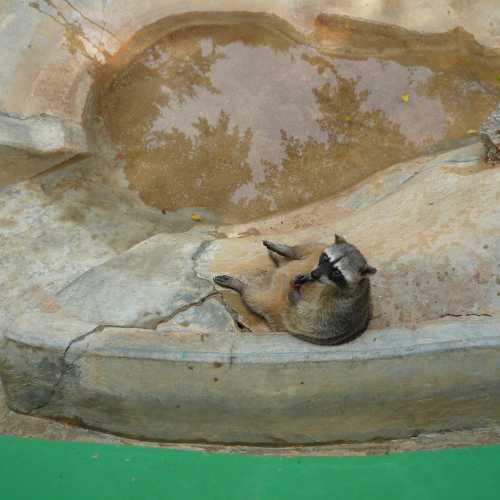 Вильяэрмоса, Мексика