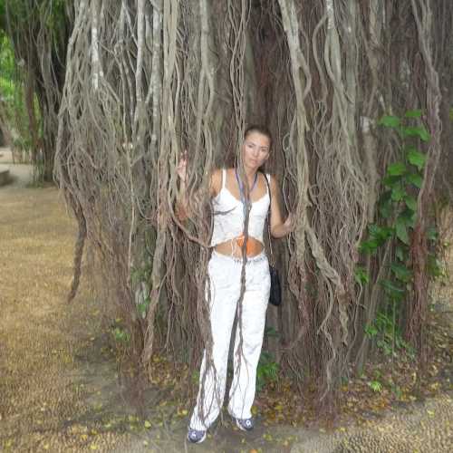 Вильяэрмоса, Мексика