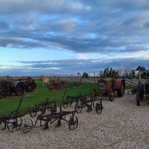 Парк ветряных мельниц в Англа (Сааремаа), Эстония