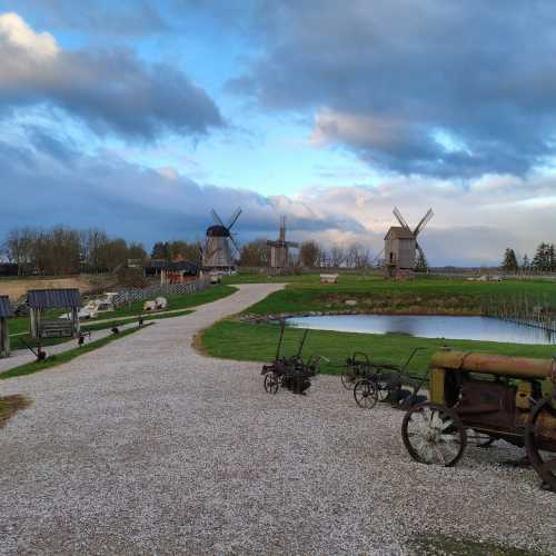 Парк ветряных мельниц в Англа (Сааремаа), Эстония