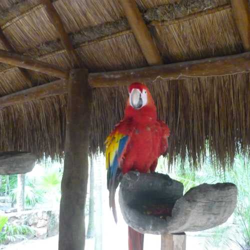 Национальный парк Искарет, Мексика