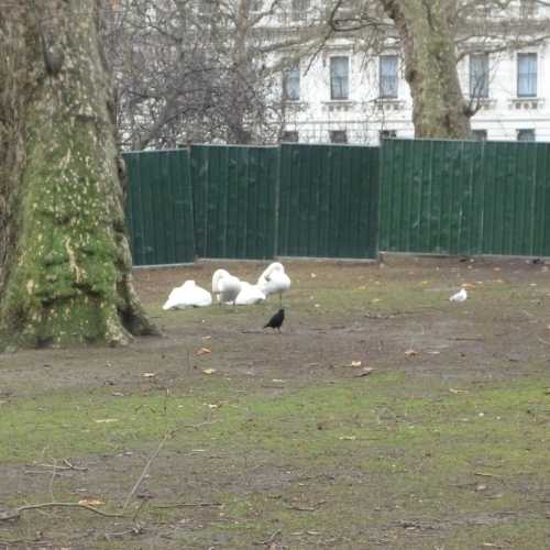 Сент-Джеймсский парк, Великобритания