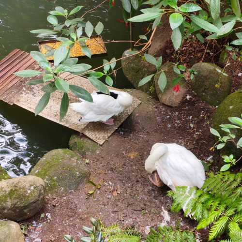 Фуншал, Португалия