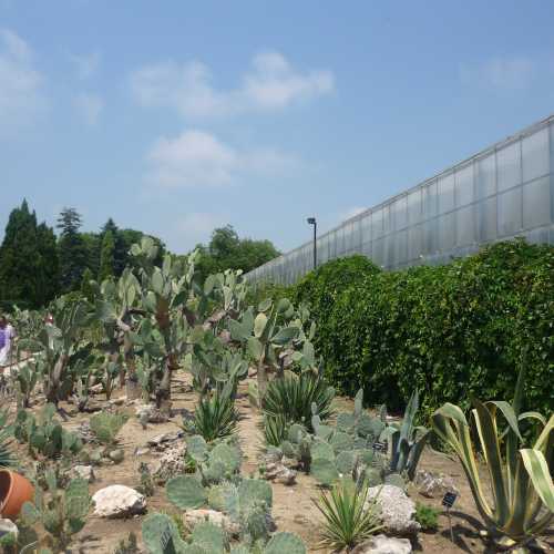 Балчик, Болгария