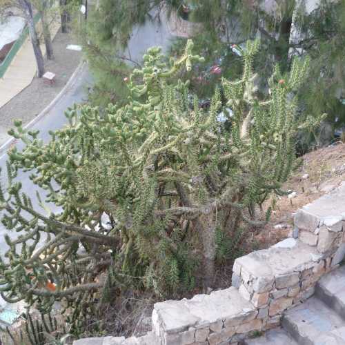 Бенальмадена, Испания