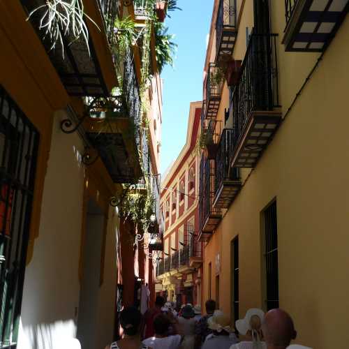 Квартал Санта Крус, Испания