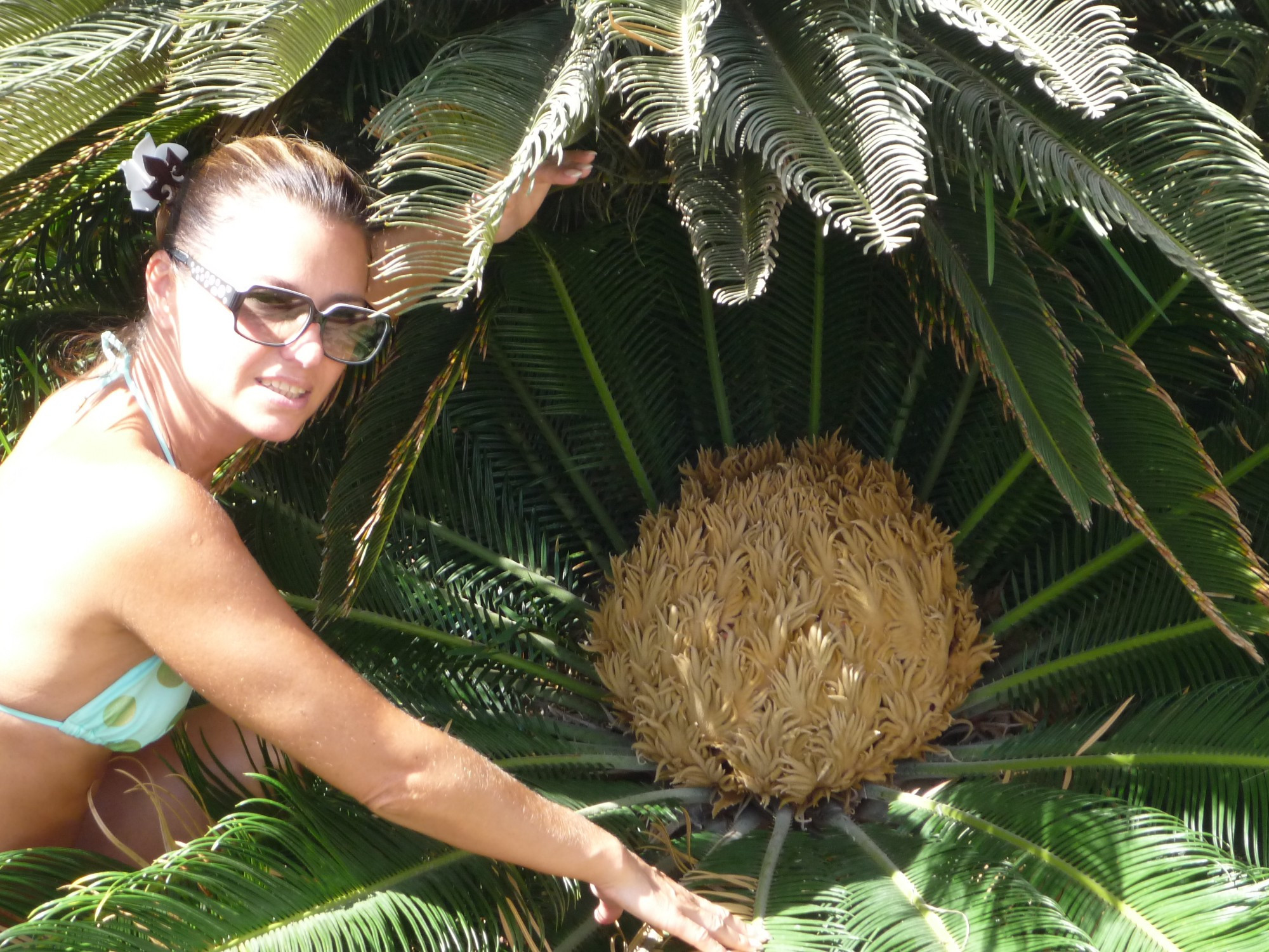 Бенальмадена, Испания