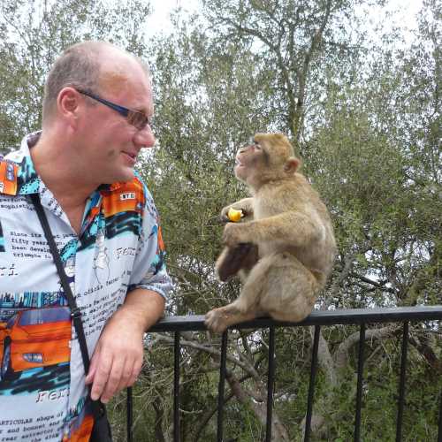 Колония маготов, Гибралтар