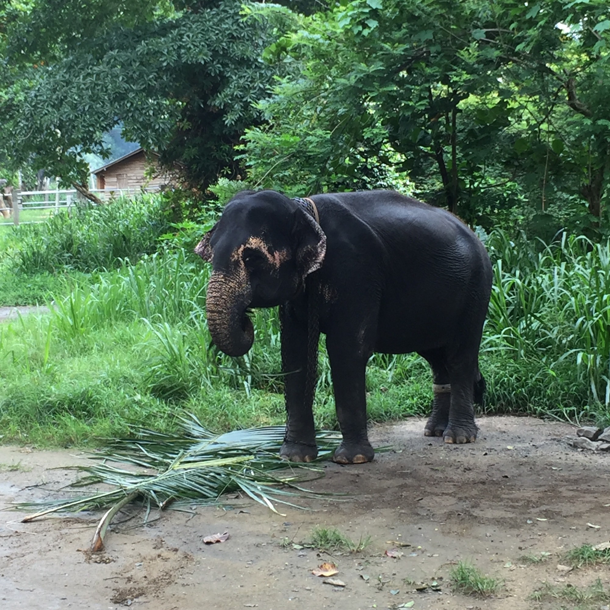 Sri Lanka