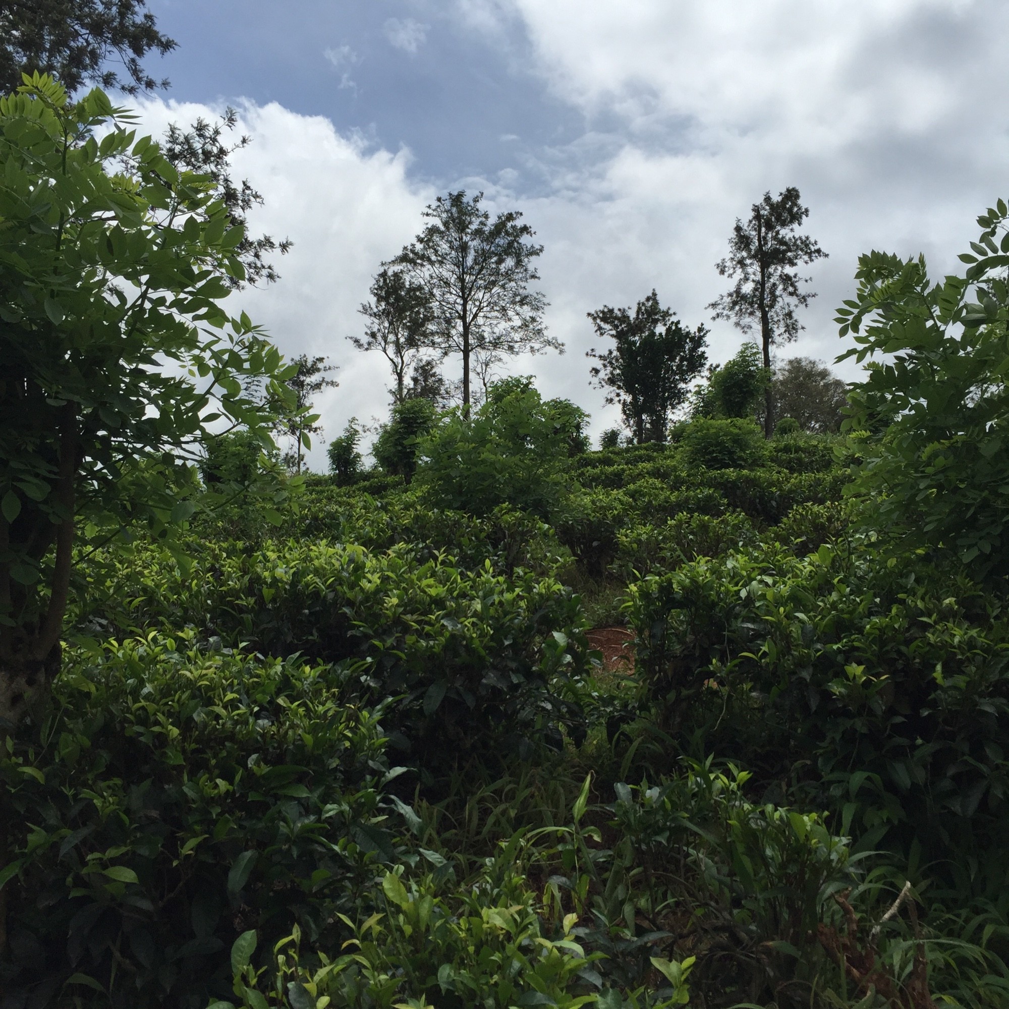 Sri Lanka