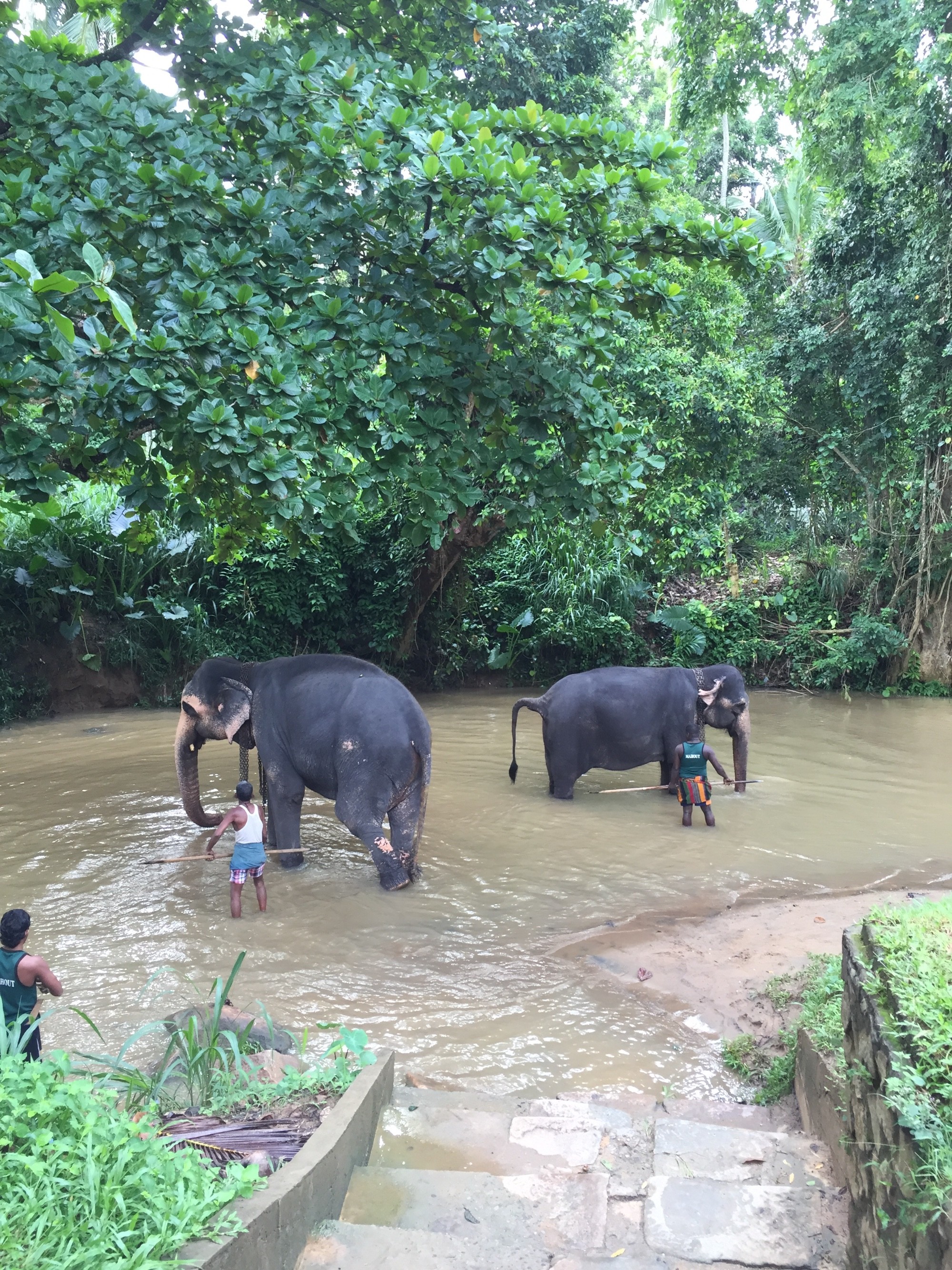 Sri Lanka