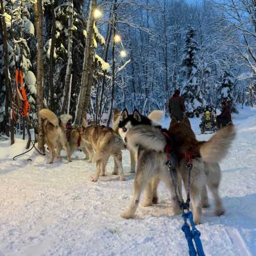 Murmansk, Russia