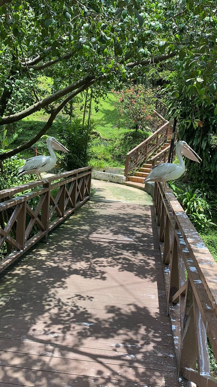 Парк птиц (Taman Burung Kuala Lumpur), Малайзия